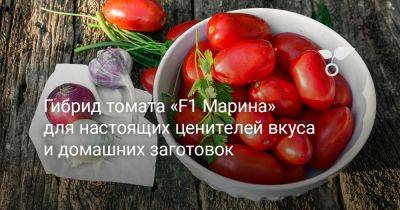 Гибрид томата «F1 Марина» для настоящих ценителей вкуса и домашних заготовок - botanichka.ru