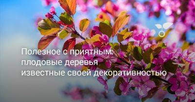 И.В.Мичурин - Полезное с приятным: плодовые деревья известные своей декоративностью - botanichka.ru