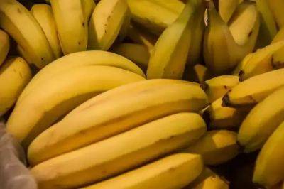 Анастасия Коврижных - Как приготовить банановый уксус для растений: подкормка, после которой цветы будет не узнать – и практически даром - belnovosti.by