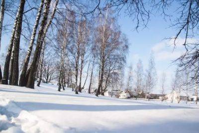 Как правильно законсервировать дачу на зиму: минимизируем последствия холодного периода - belnovosti.by