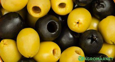 Консервированные маслины и оливки: как выбрать, польза - agro-market.net - Украина