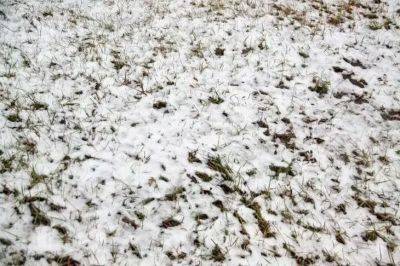 Анастасия Коврижных - Стоит ли рассыпать золу зимой по снегу: неожиданное открытие - belnovosti.by