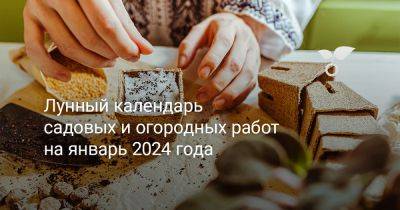Лунный календарь садовых и огородных работ на январь 2024 года - botanichka.ru