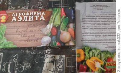 Новогодний подарок от Аэлиты: заветная коробочка с семенами - 7dach.ru