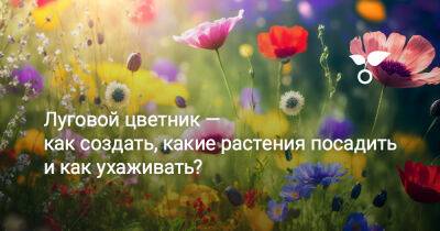 Луговой цветник — как создать, какие растения посадить и как ухаживать? - botanichka.ru