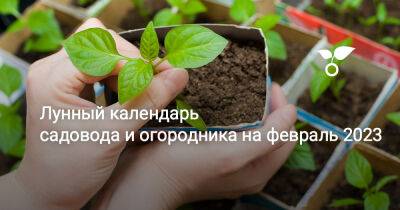Лунный календарь садовода и огородника на февраль 2023 - botanichka.ru