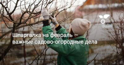 Шпаргалка на февраль — важные садово-огородные дела - botanichka.ru - республика Дагестан - Приморье край