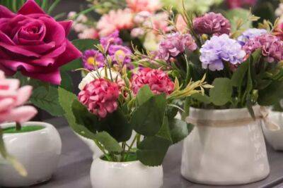 Сколько вазонов с цветами можно оставить в спальне: многие даже не догадываются - belnovosti.by