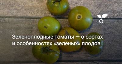 Зеленоплодные томаты — о сортах и особенностях «зеленых» плодов - botanichka.ru - Чили