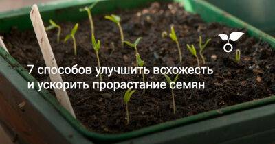 7 способов улучшить всхожесть и ускорить прорастание семян - botanichka.ru