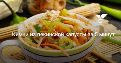 Кимчи из пекинской капусты за 5 минут - botanichka.ru