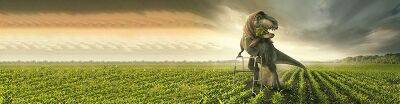 Новый взгляд на защиту кукурузы от компании ЮПЛ - rynok-apk.ru