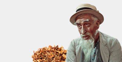 Как выбрать табак развесной - thisisdacha.ru - Россия