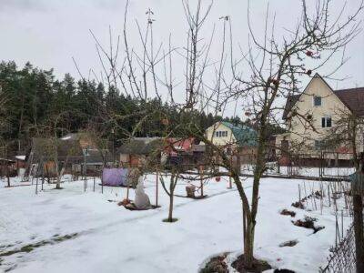 Где зимуют вредители сада и что сделать, чтобы они не дожили до весны - belnovosti.by