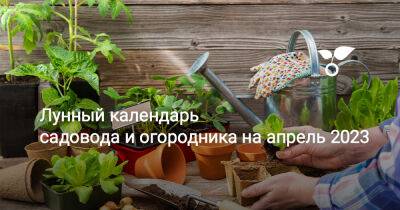 Лунный календарь садовода и огородника на апрель 2023 - botanichka.ru