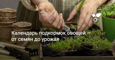 Календарь подкормок овощей — от семян до урожая - botanichka.ru