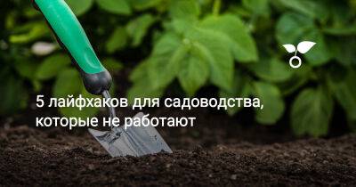 5 лайфхаков для садоводства, которые не работают - botanichka.ru