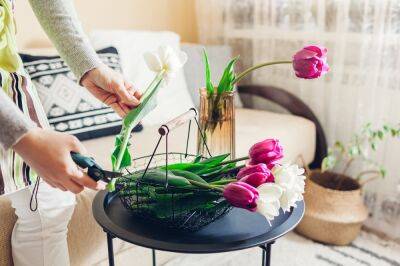 Как дольше сохранить срезанные тюльпаны в домашних условиях - ogorod.ru