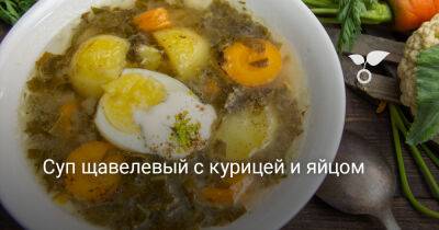 Суп щавелевый с курицей и яйцом - botanichka.ru