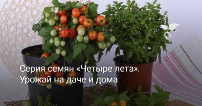 Серия семян «Четыре лета». Урожай на даче и дома - botanichka.ru