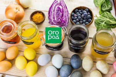 Красим яйца на Пасху: луковая шелуха, красное вино, чай каркаде и другие самые лучшие красители - ogorod.ru