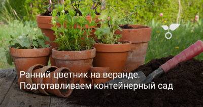 Как подготовить контейнерный сад и освежить веранду растениями? - botanichka.ru