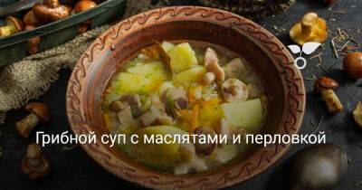 Грибной суп с маслятами и перловкой - botanichka.ru