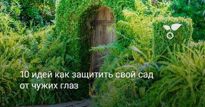 10 идей как защитить свой сад от чужих глаз - botanichka.ru