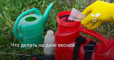 Что делать на даче весной - botanichka.ru