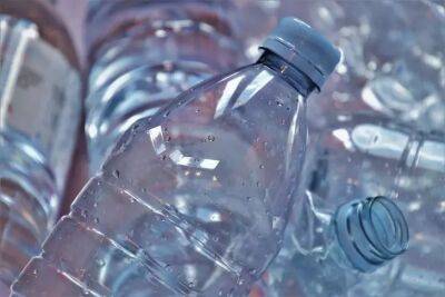 Как использовать пластиковую бутылку на даче: 3 интересных варианта - belnovosti.by