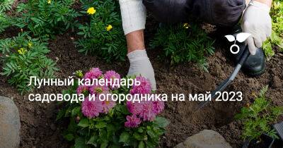 Лунный календарь садовода и огородника на май 2023 - botanichka.ru