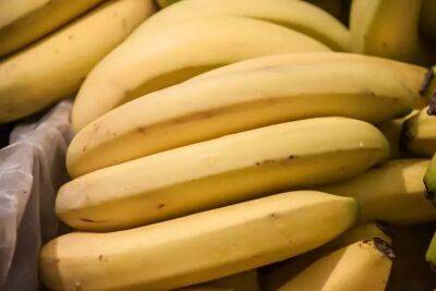 Почему дачники так любят бананы: 4 причины не выбрасывать банановую кожуру - belnovosti.by