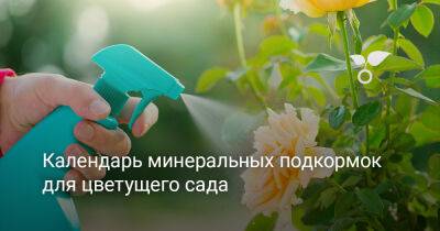 Календарь минеральных подкормок для цветущего сада - botanichka.ru
