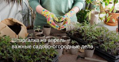 Шпаргалка на апрель — важные садово-огородные дела - botanichka.ru