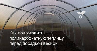 Как подготовить поликарбонатную теплицу перед посадкой весной? - botanichka.ru