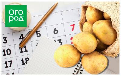 Выращивание картофеля по Лунному календарю в 2023 году - ogorod.ru