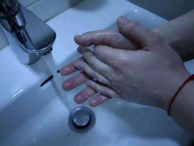 Хозяйственное мыло - помощник огородника: почему опытные дачники всегда намыливают руки перед началом работ - belnovosti.by