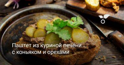 Паштет из куриной печени с коньяком и орехами - botanichka.ru
