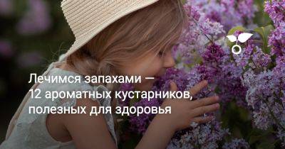 Лечимся запахами — 12 ароматных кустарников, полезных для здоровья - botanichka.ru - Китай