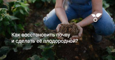 Как восстановить почву и сделать её плодородной? - botanichka.ru