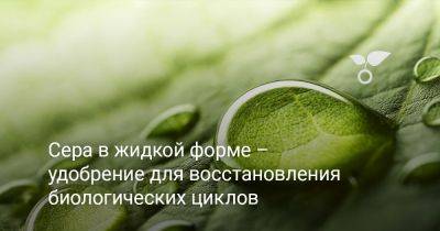 Сера в жидкой форме – удобрение для восстановления биологических циклов - botanichka.ru