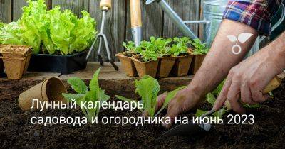 Лунный календарь садовода и огородника на июнь 2023 - botanichka.ru