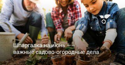 Шпаргалка на июнь — важные садово-огородные дела - botanichka.ru - Россия - Воронеж
