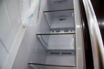 Что делать, если в холодильнике что-то протухло: простой способ избавиться от запаха - belnovosti.by