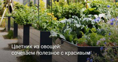 Овощи в цветнике — как сочетать красивое с полезным? - botanichka.ru