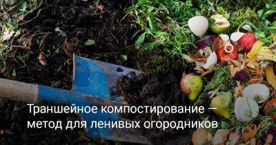 Траншейное компостирование — идеальный метод для ленивых огородников - botanichka.ru