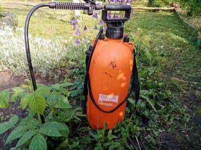 Как пестициды влияют на ваш сад: вот почему их стоит выбирать с особой тщательностью - belnovosti.by