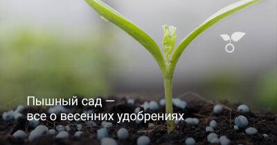 Пышный сад — все о весенних удобрениях - botanichka.ru