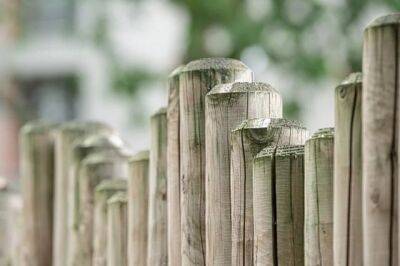 Как понизить соседский забор, если он слишком высокий? - aif.ru