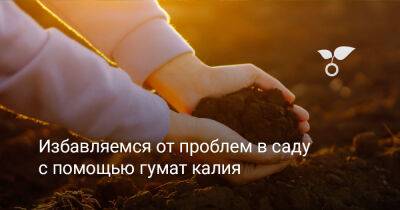 Избавляемся от проблем в саду с помощью гумат калия - botanichka.ru
